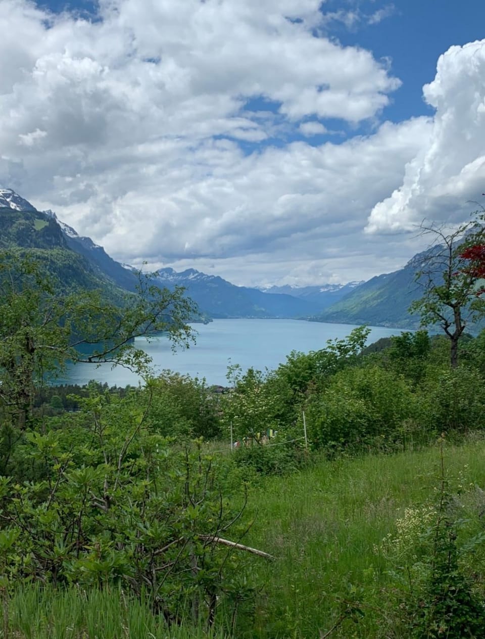 Garden, Lake view, Mountain view