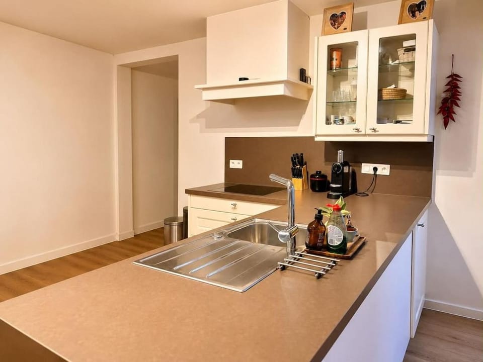 Sophies Choice Apartment in Flanders
