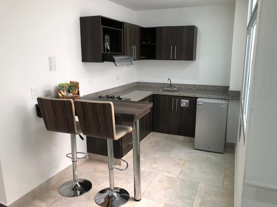 Kitchen or kitchenette, dishwasher, minibar, stove