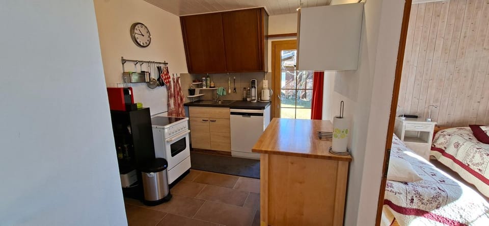dishwasher, stove, toaster