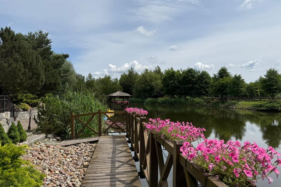 Lake view