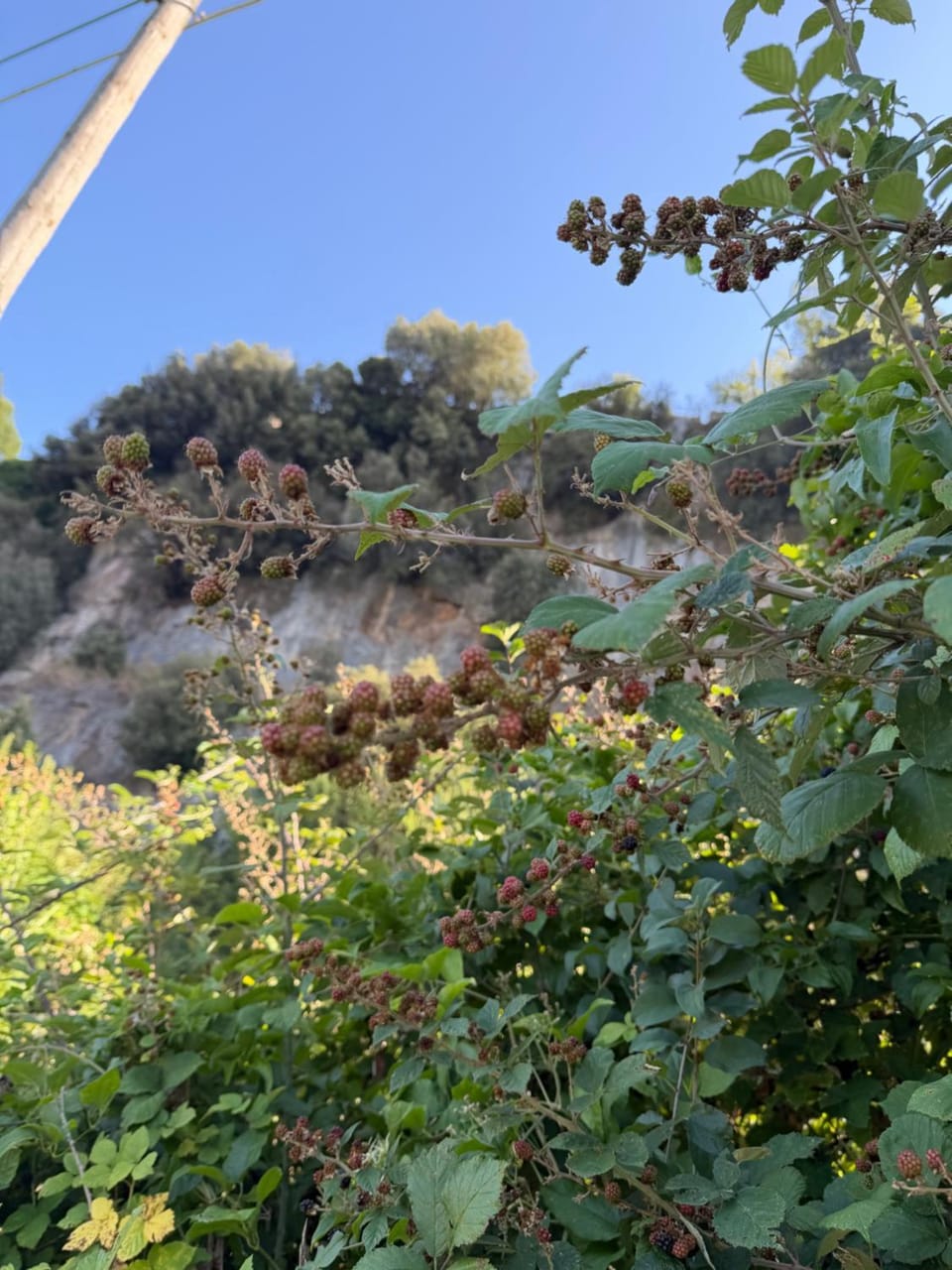 Spring, Day, Natural landscape