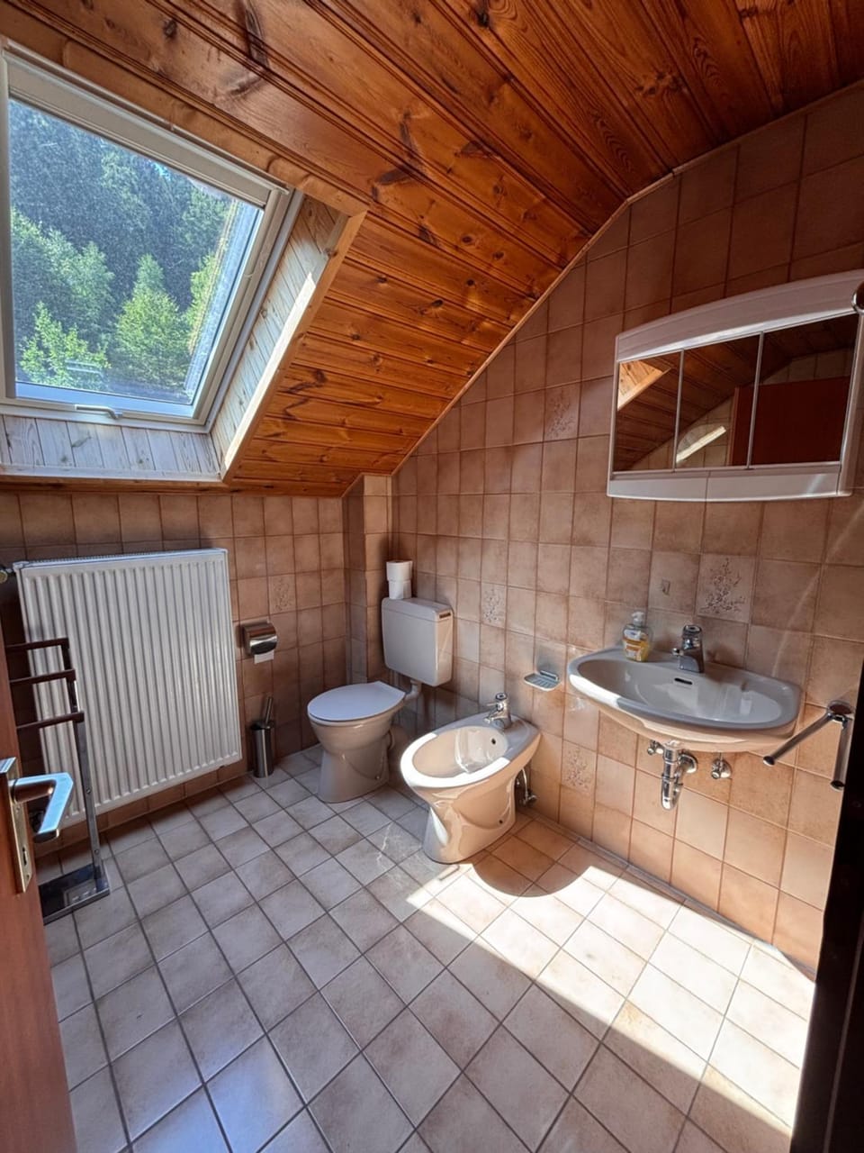Toilet, Bathroom, bidet