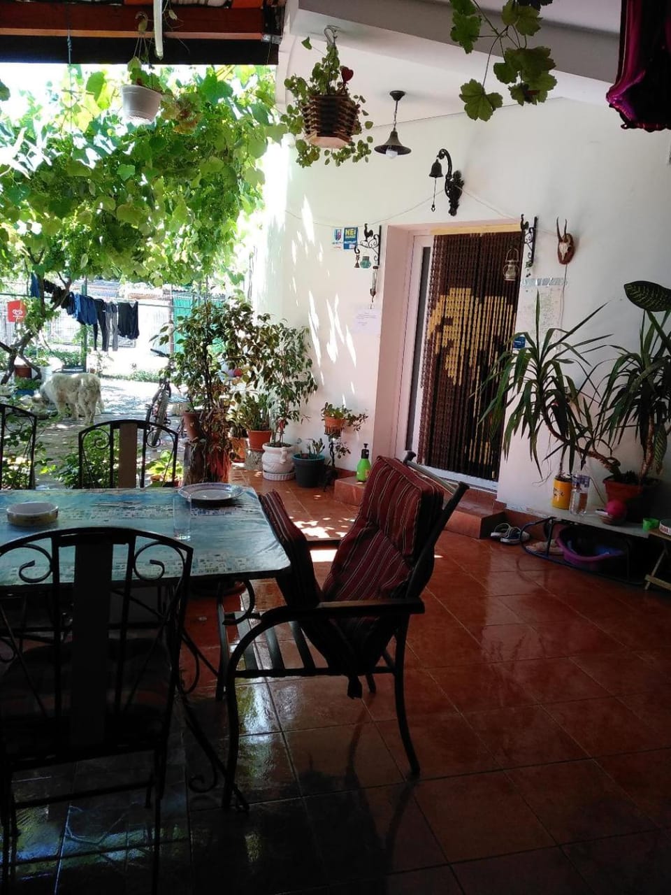 Casa Carlo Bed and Breakfast in Eforie Nord