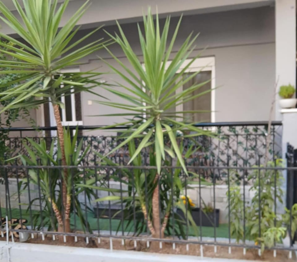 Aggeliki's House Apartment in Decentralized Administration of Macedonia and Thrace