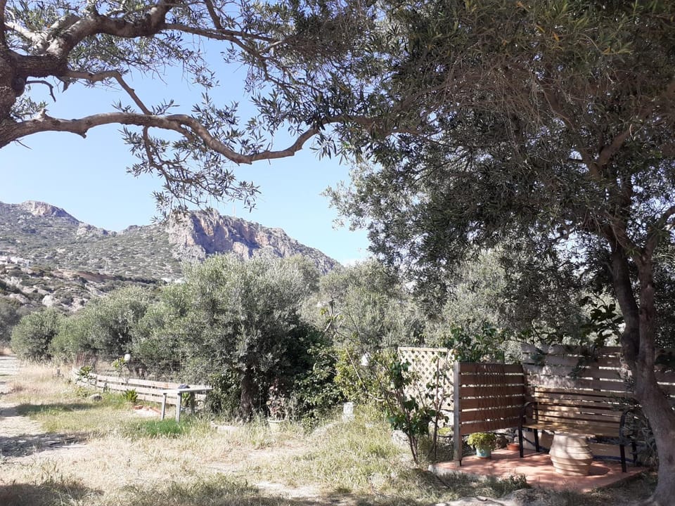 Property building, Mountain view, Location