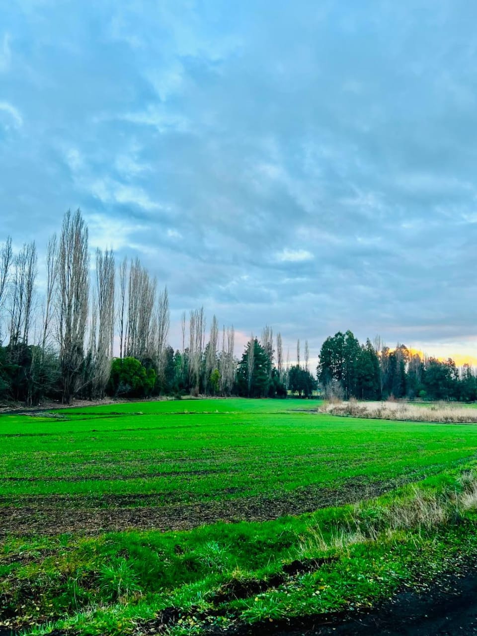 Natural landscape