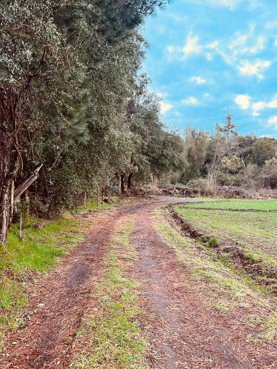 Natural landscape