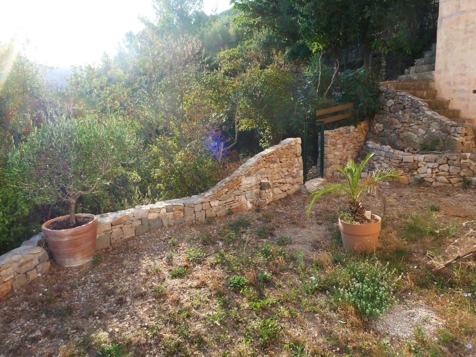 Natural landscape