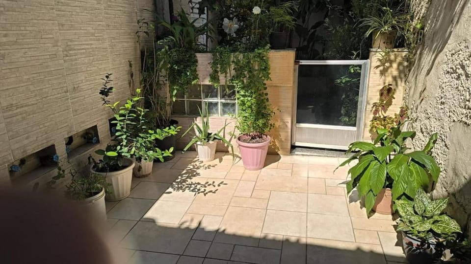 Patio, Garden