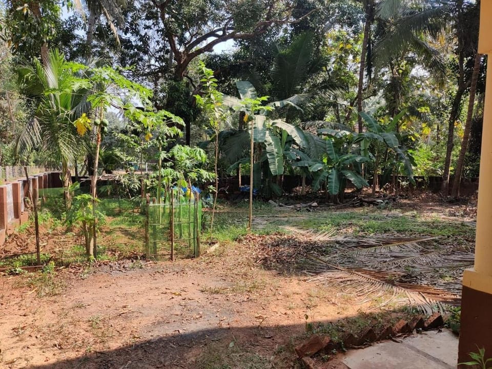 Just a Smile Away, Every day is different Villa in Benaulim