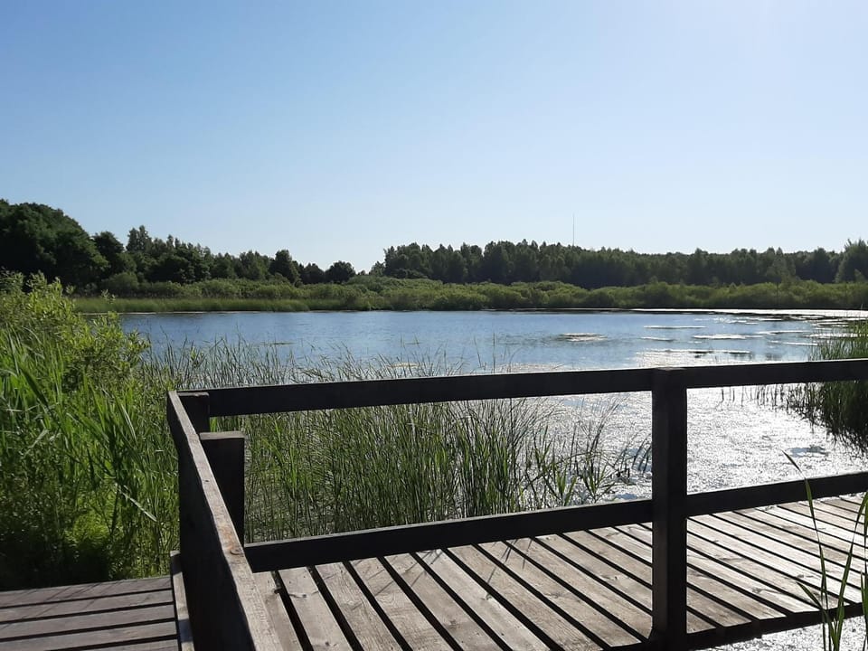 Lake view