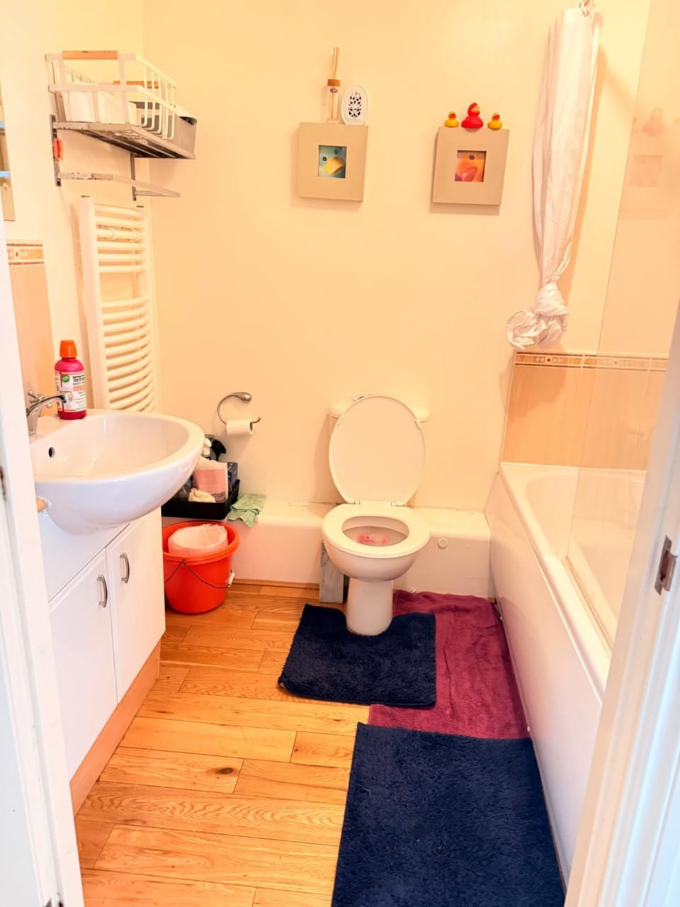 Oxford House Apartment in Aylesbury