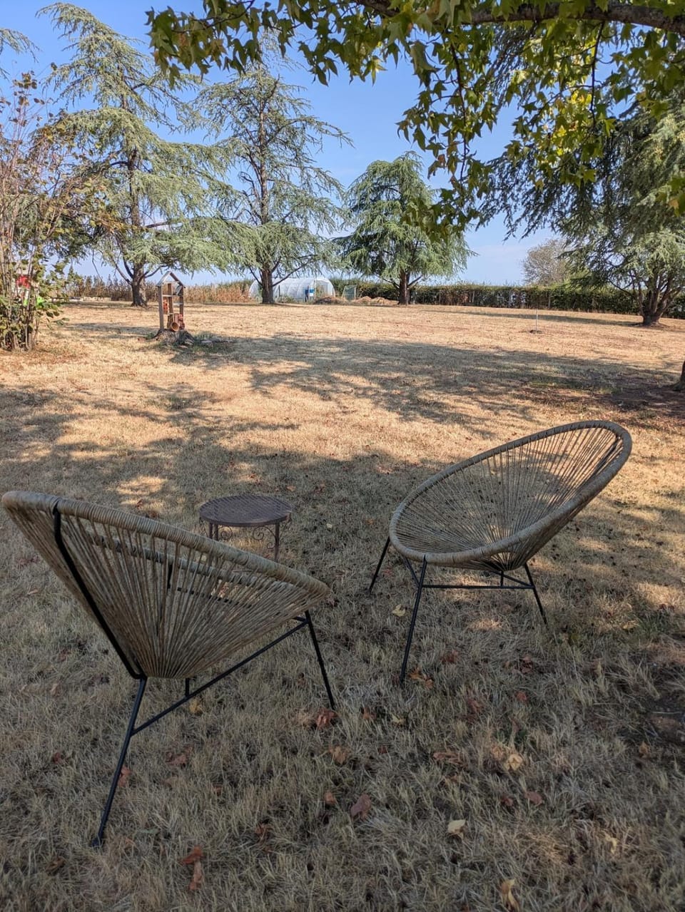 Garden, Garden