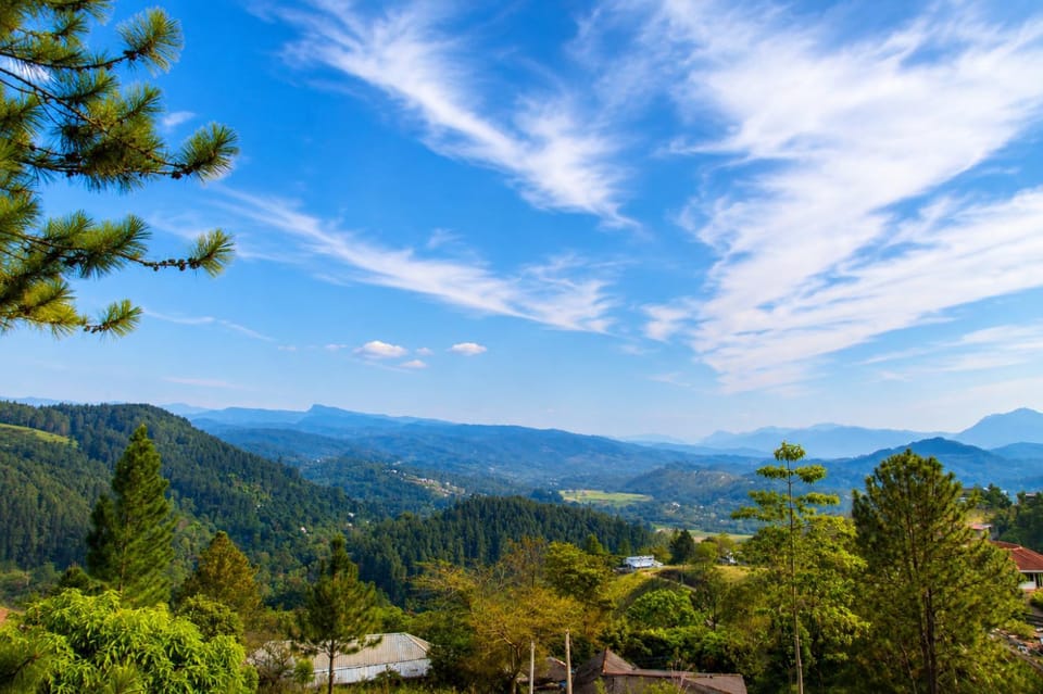 Mountain view