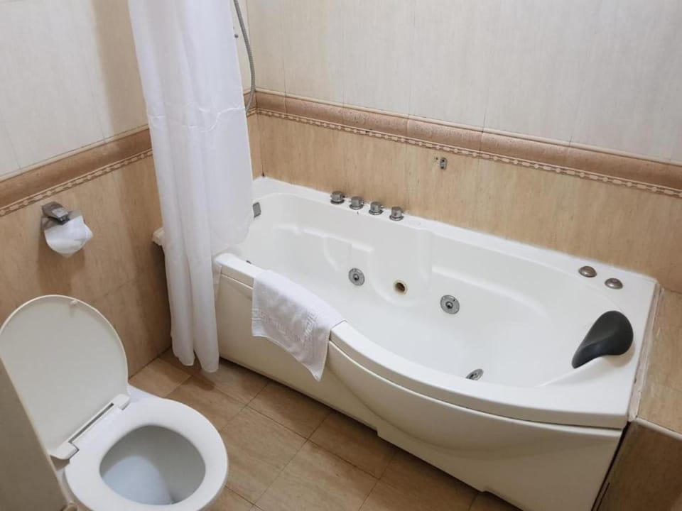 Toilet, Bathroom, Bath
