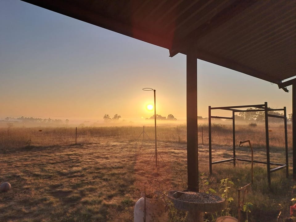 Sunrise