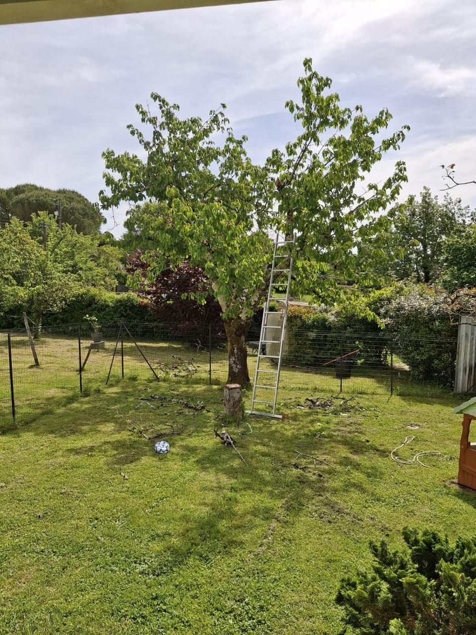Garden, Garden