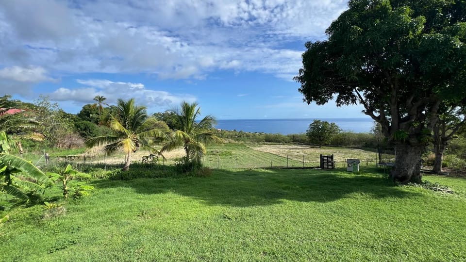 Villa Horizon 180 Villa in Leeward Islands