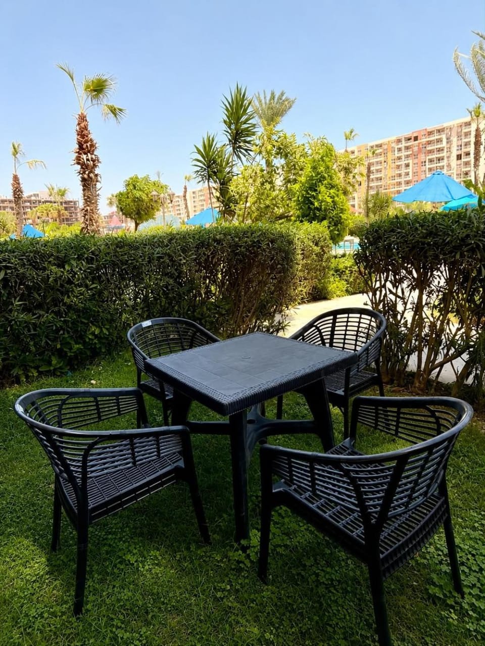 Day, Garden, Dining area, Garden view