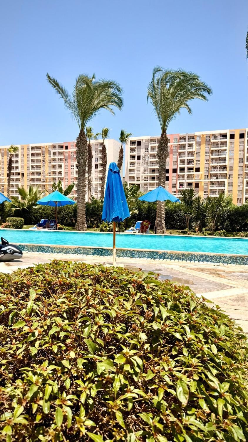Property building, Garden, Garden view, Pool view, Swimming pool, Swimming pool, sunbed
