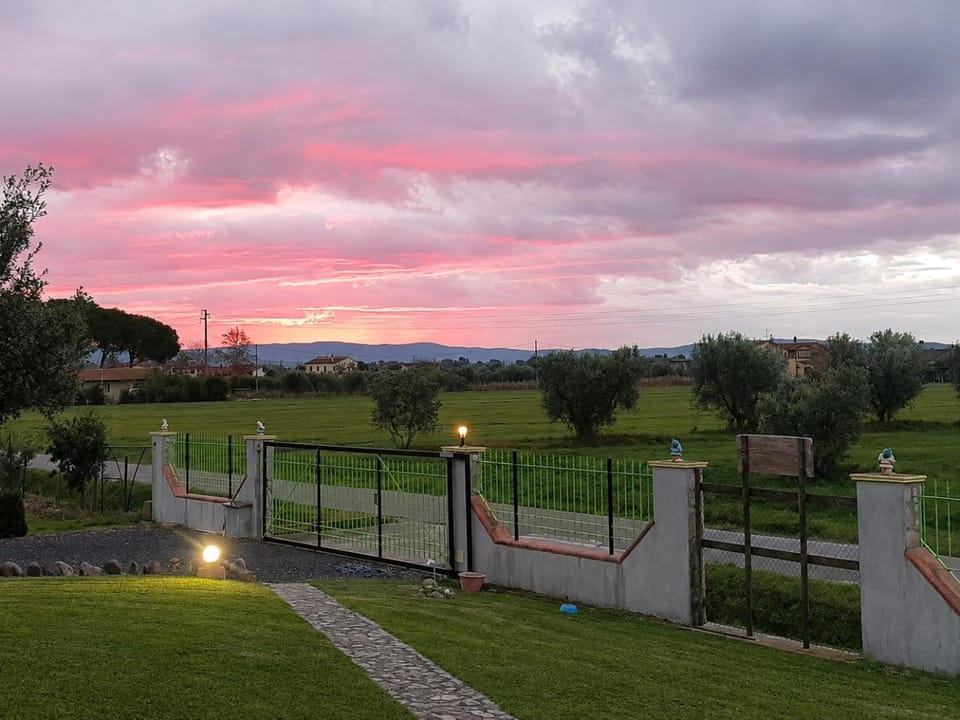 Spring, Natural landscape, Garden, Garden view, Sunrise