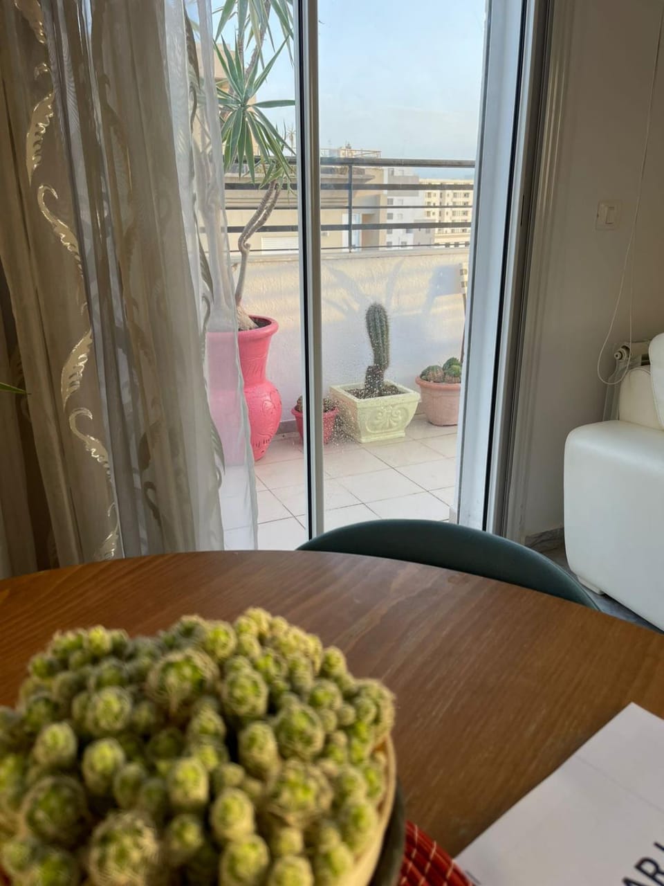 Dar Lilia Apartment in Tunis