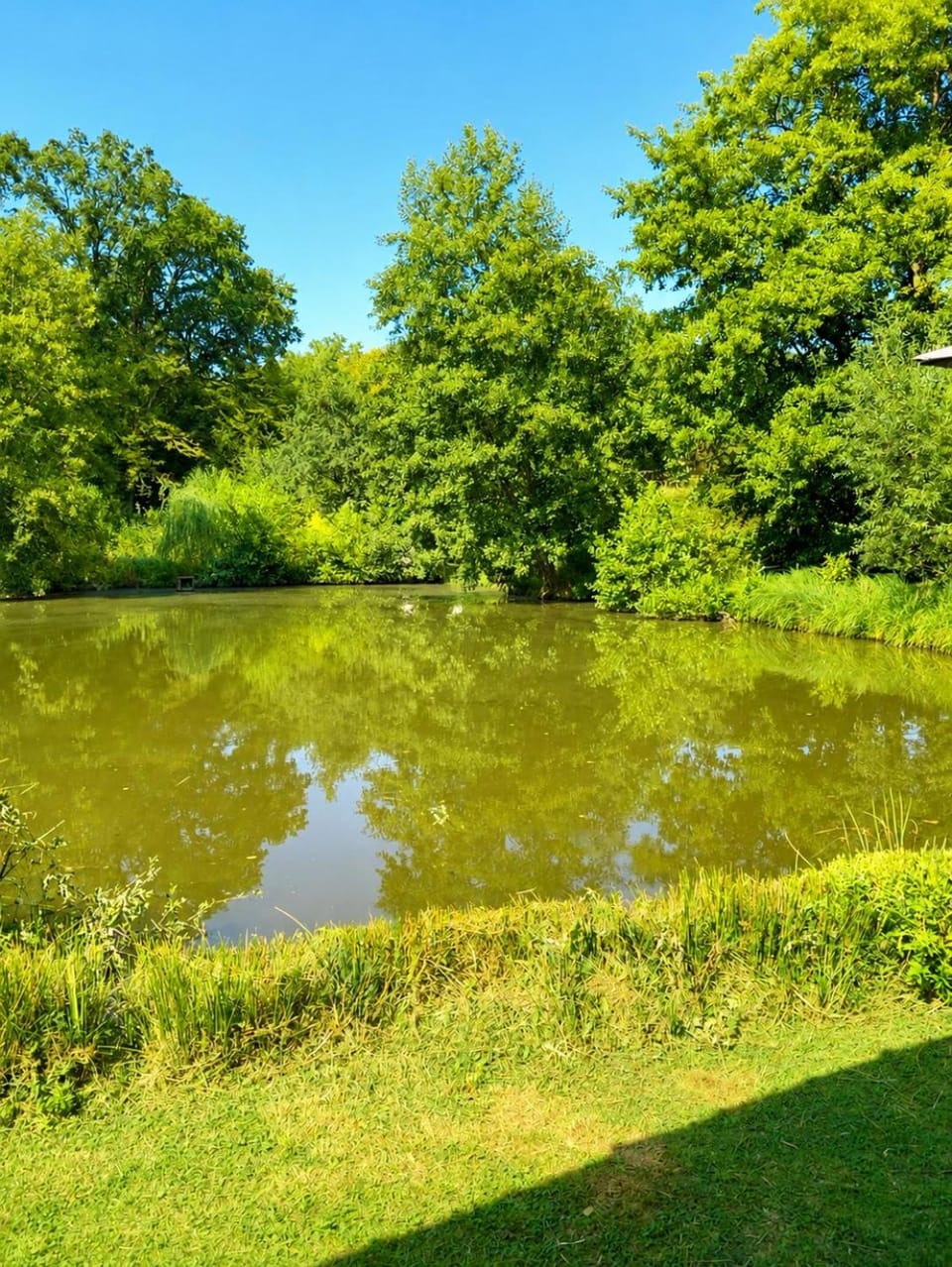 Nearby landmark, Spring, Day, Natural landscape, Lake view, River view