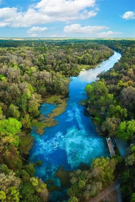 Rainbow Riverfront Luxury Private Cove & Dock House in Dunnellon