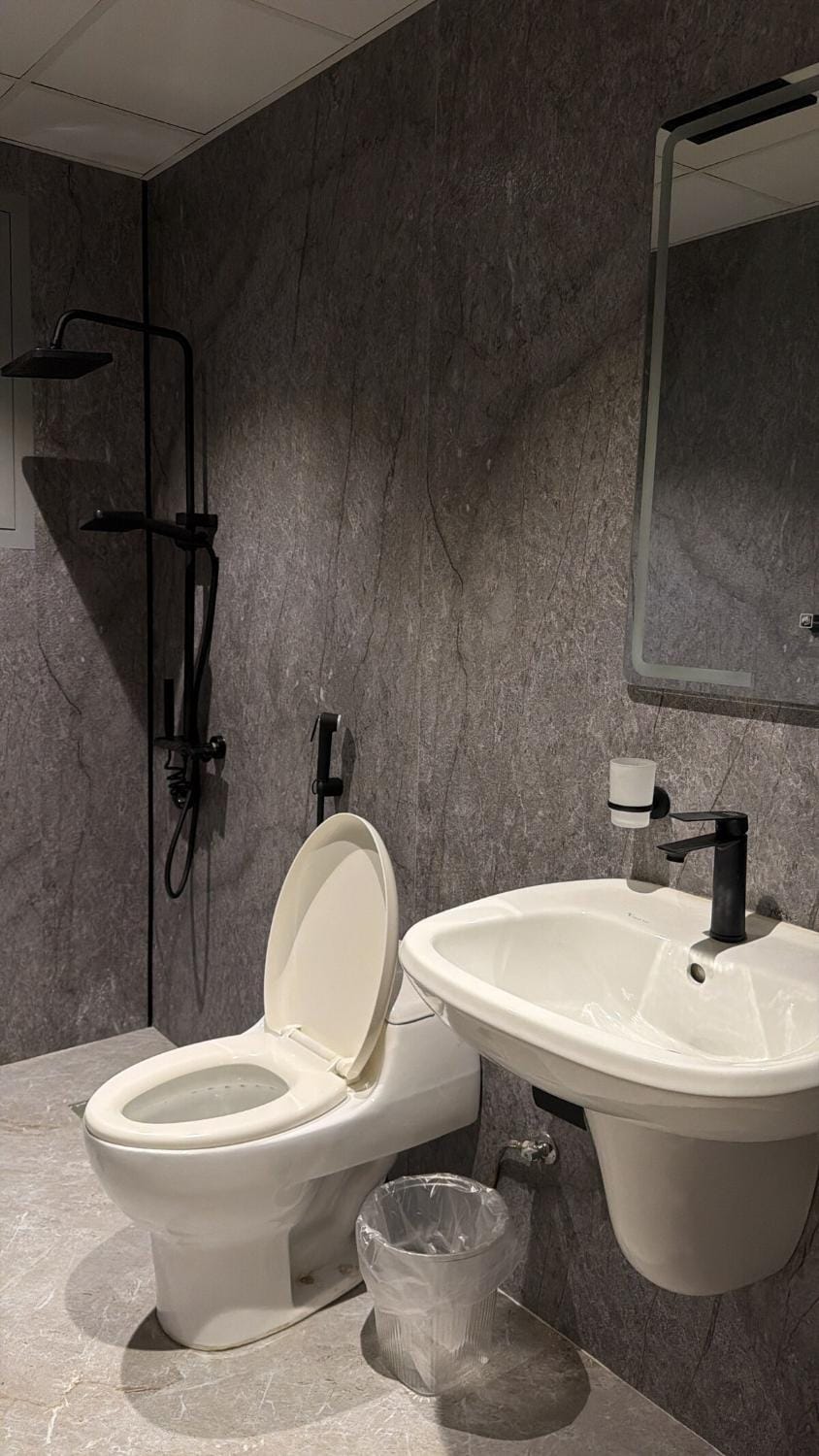 Toilet, Bathroom