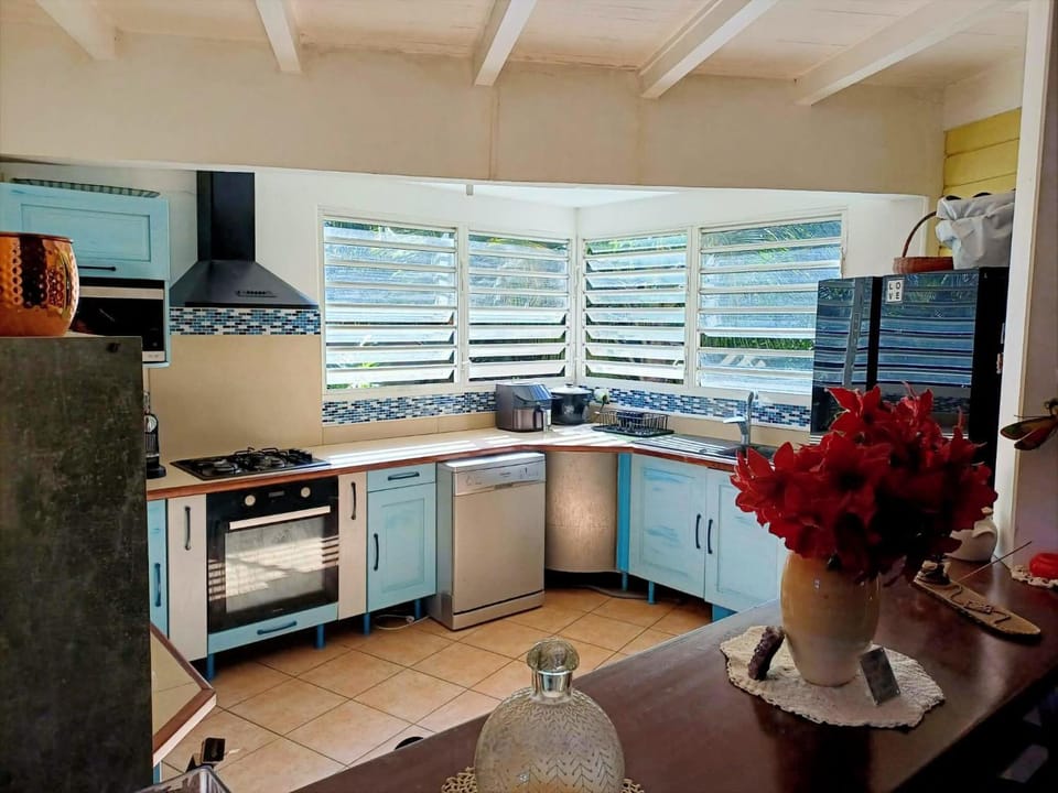 Kitchen or kitchenette, oven, stove