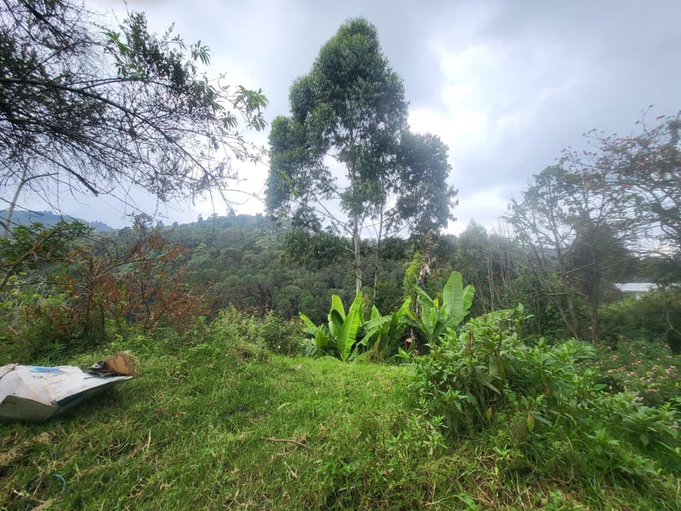 JJ Home With 200Meters Trekking House in Kodaikanal