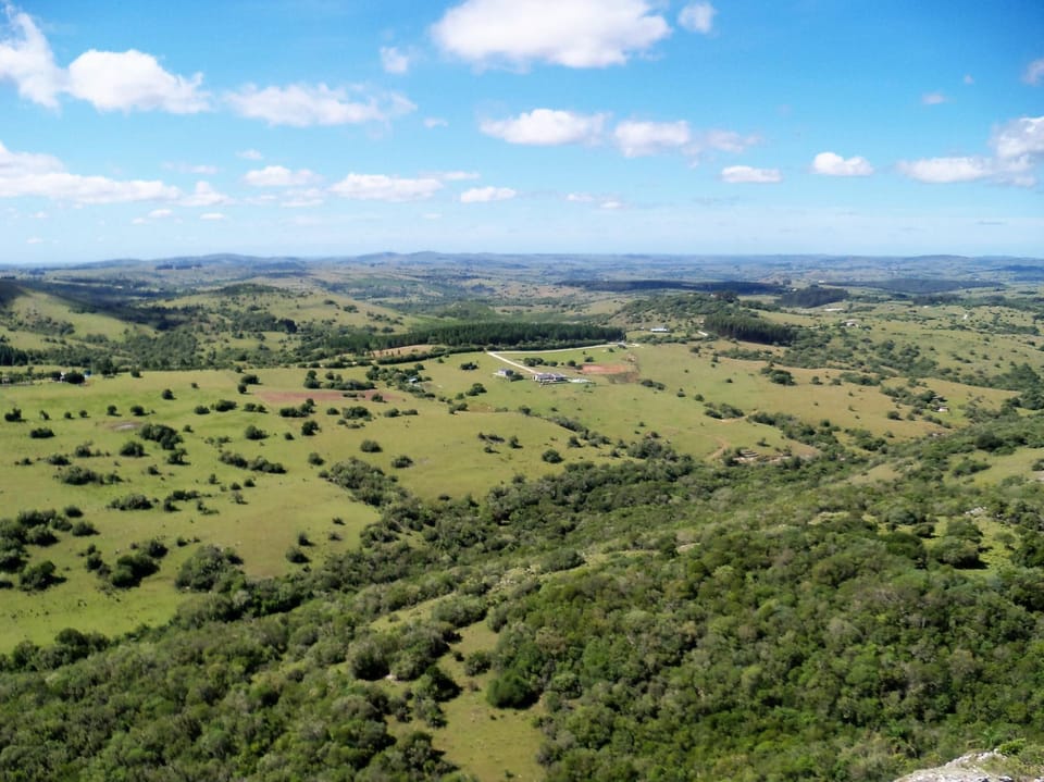 Natural landscape