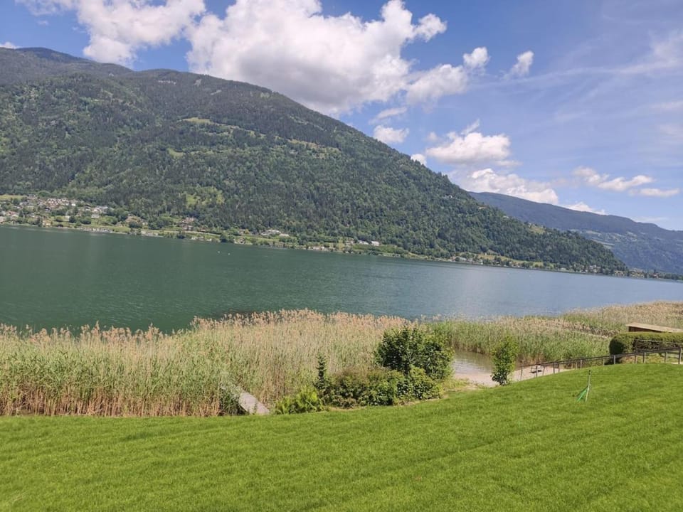 Lake view