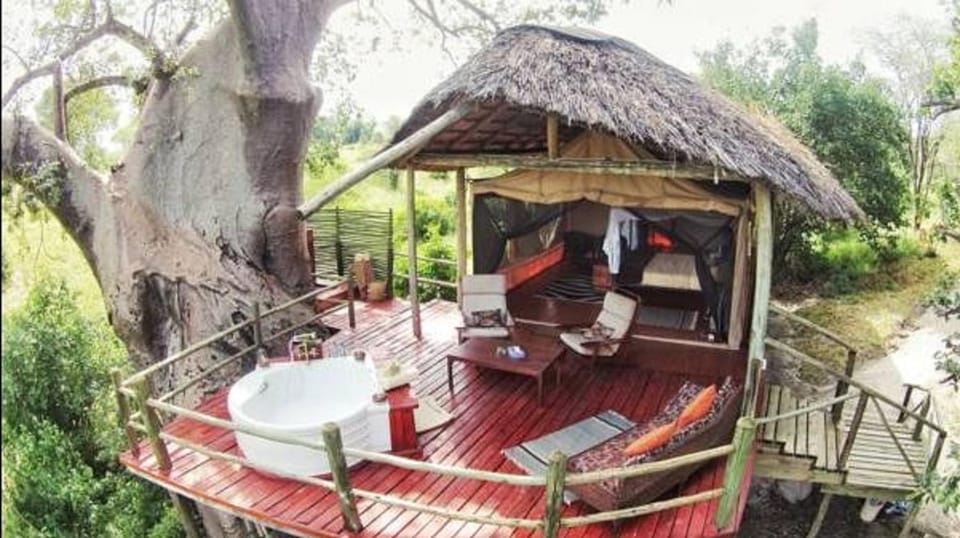 Shower, Bathroom, Balcony/Terrace, Living room, Photo of the whole room, Seating area, Bedroom, Bath