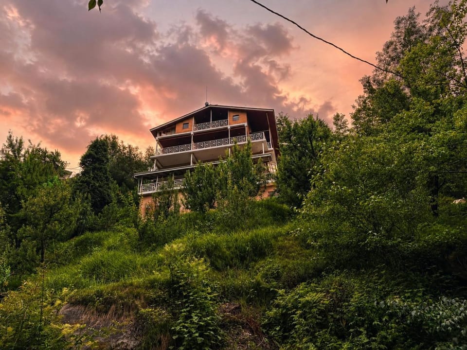 Property building, Natural landscape, Garden view, Sunrise