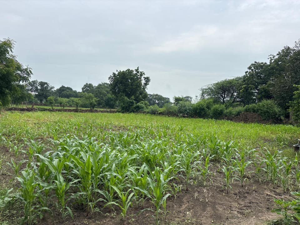 Nomadic home stay Farm Stay in Rajasthan