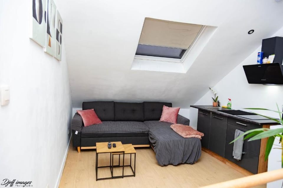 Ubuntu House - Room 3 - Studio Vacation rental in Charleroi