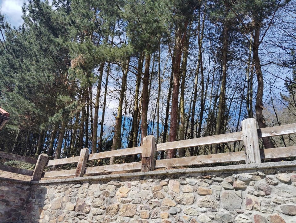 Spring, Natural landscape