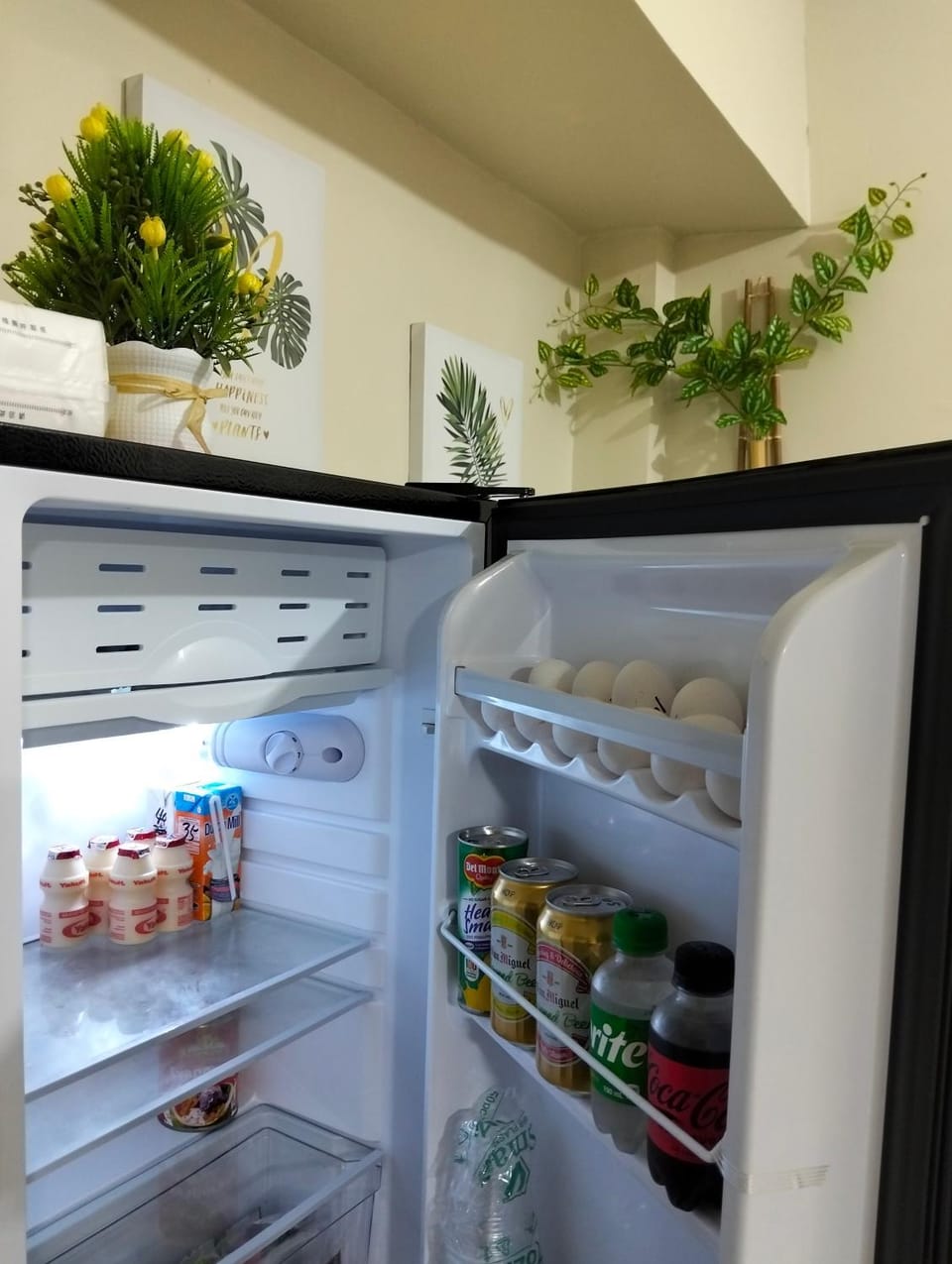 JElise Urban Suites Apartment in Naga
