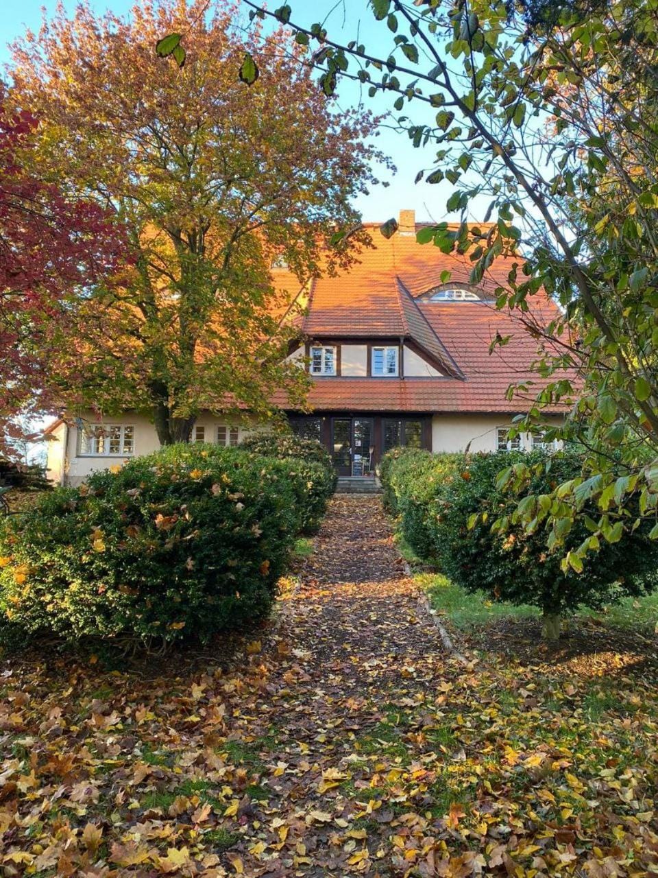 Property building, Garden view