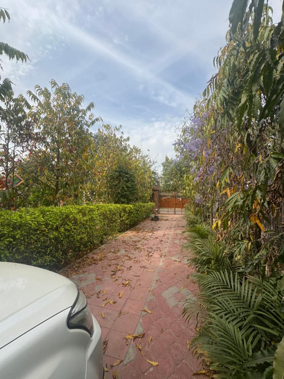 Golden Villa on NH-8 Rewari, Home away from Home, Nature Kissed Farm Stay in Haryana