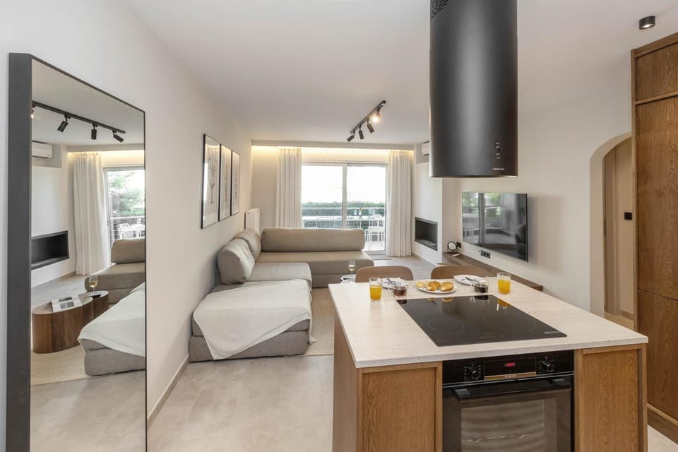 TV and multimedia, Kitchen or kitchenette, Living room, Photo of the whole room, Seating area, oven, stove