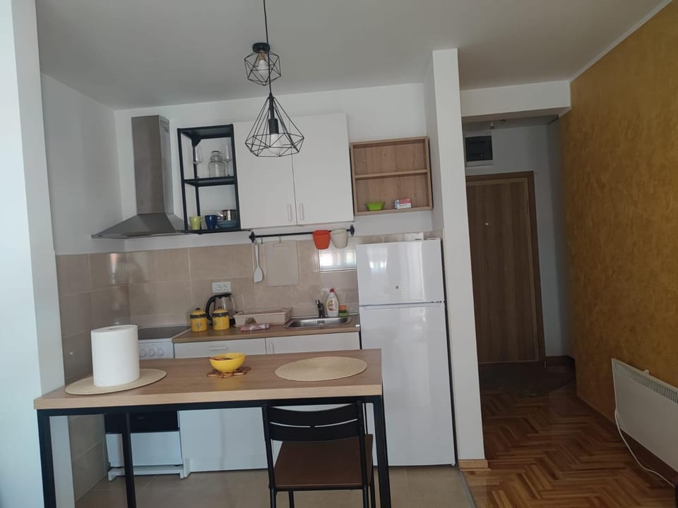 Flight Apartment in Belgrade
