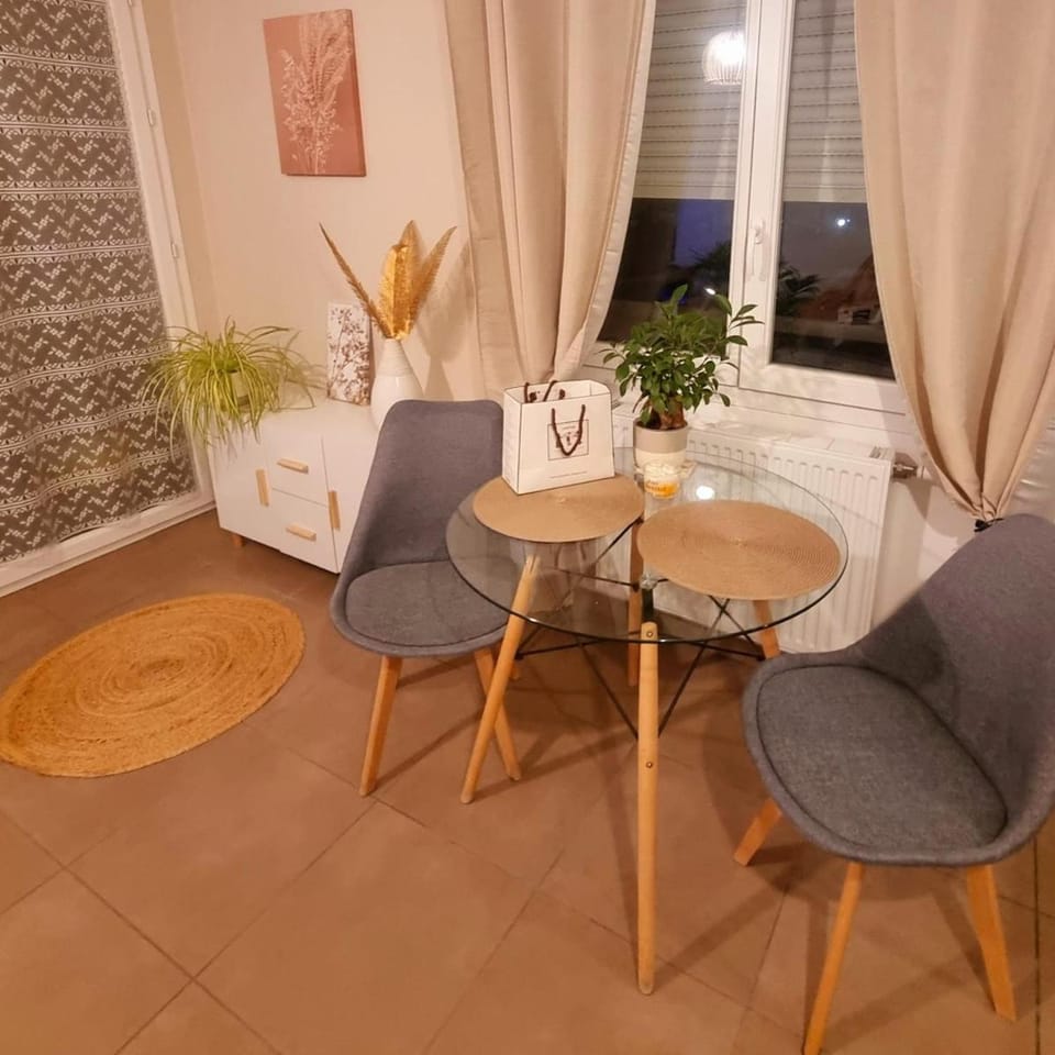Charmant T2 cosy Villeurbanne Apartment in Villeurbanne