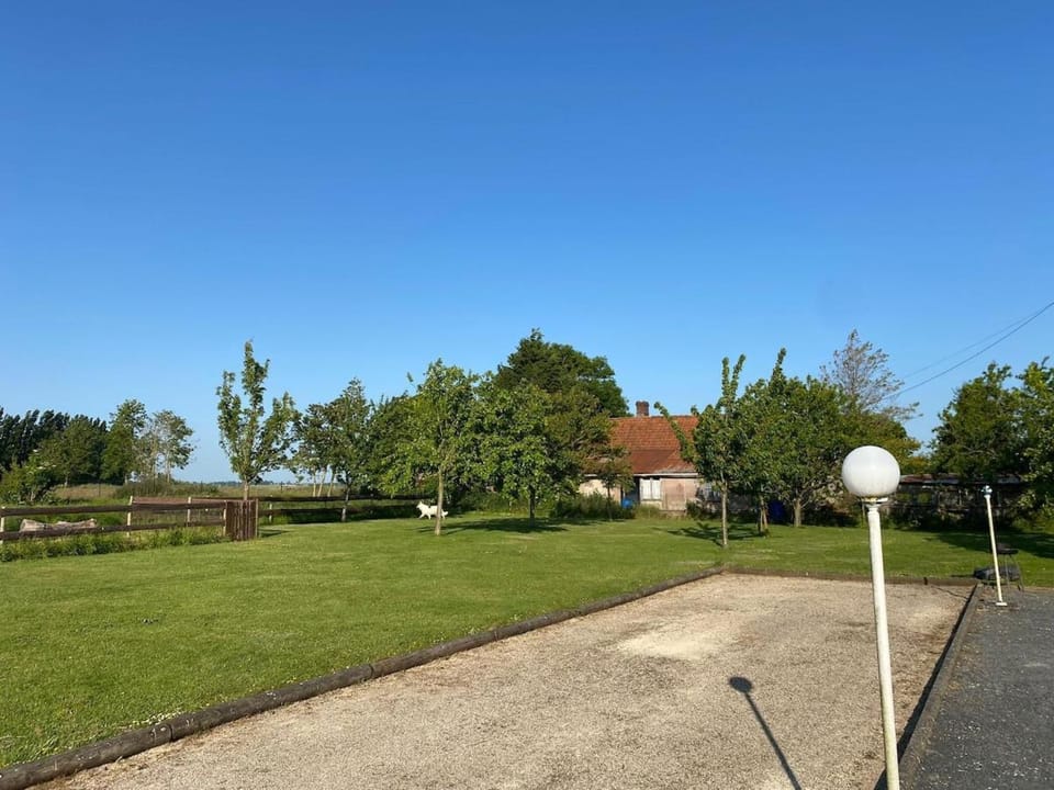 Natural landscape, Garden, Garden view