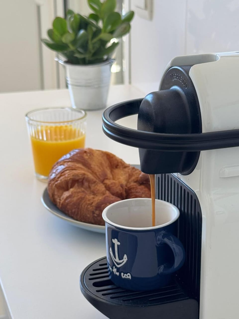 Coffee/tea facilities, Kitchen or kitchenette