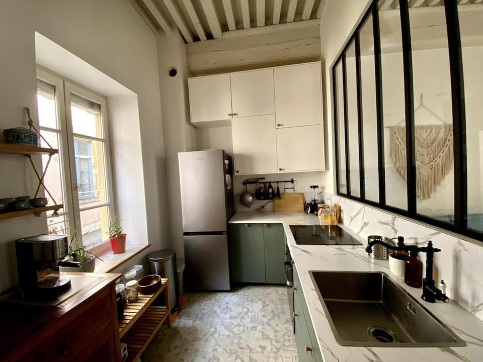 Renovated loft with terrace at Pentes Croix-Rousse Apartment in Lyon