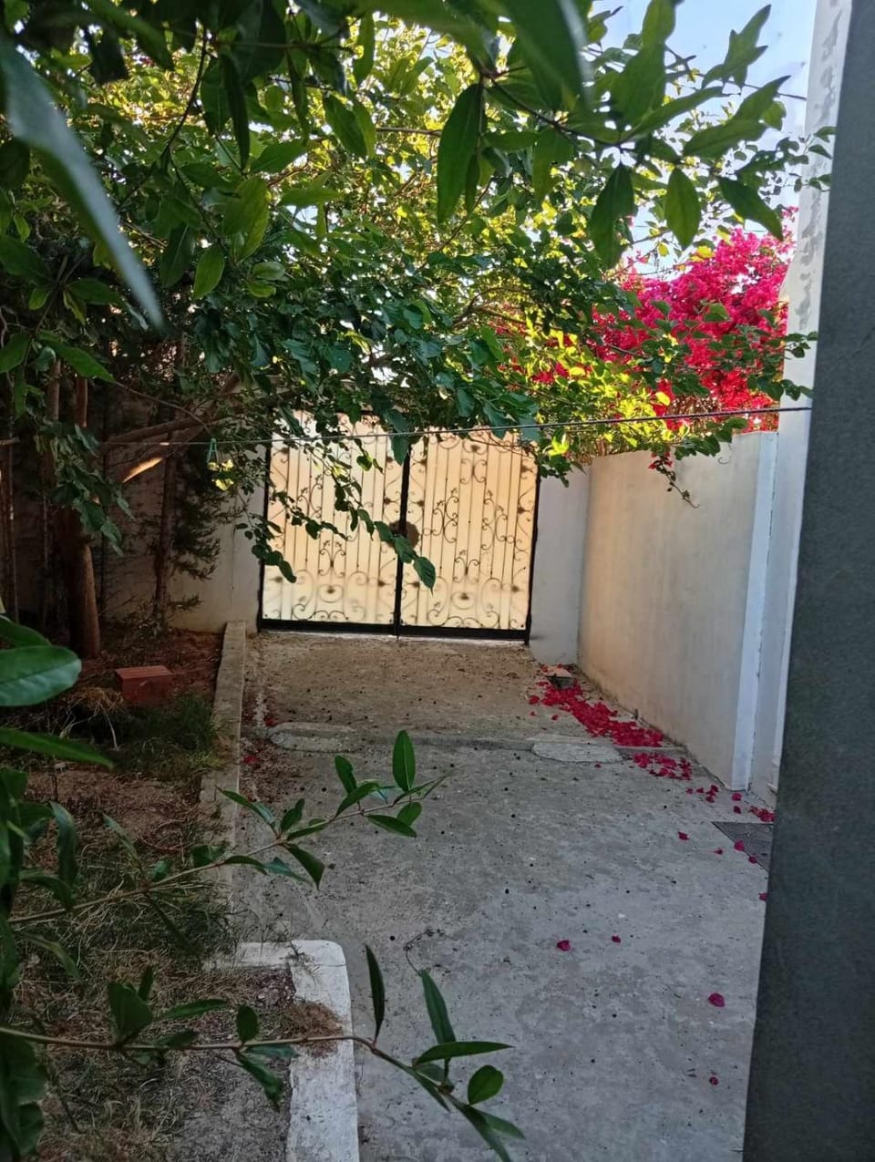 Maison vue foret et mer House in Tunisia