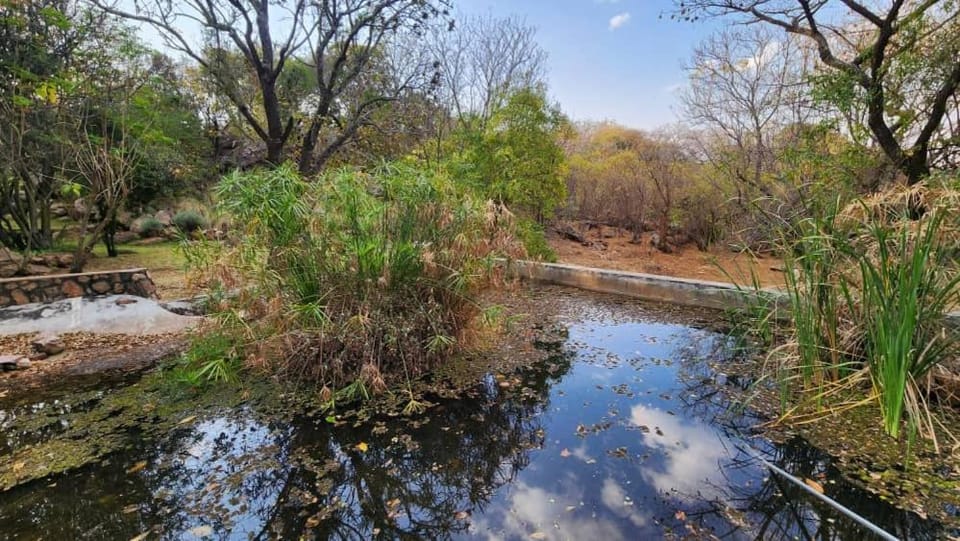 Ukuthula Guest house House in Zimbabwe